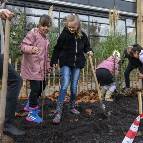 Kinderen die een schep vasthouden op een stuk aarde