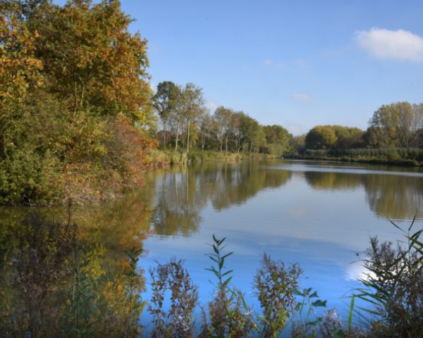 Parkrijk.jpg